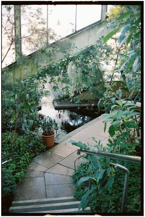 Kew Gardens, 2024