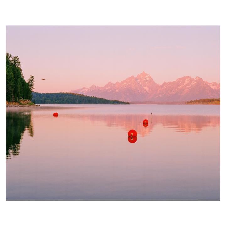 Summer light(Pentax 67ii, 105mm 2.4, Gold200)