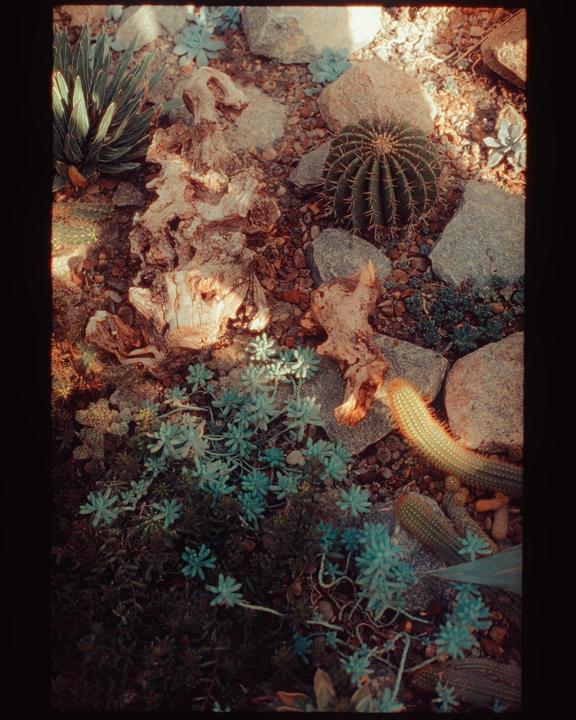 Kodak Ektar 100 // Olympus OM-1n // Zuiko 28mm f/2.8