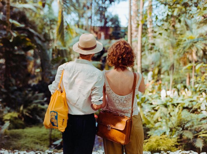 Indoor Paradise | Mamiya 645 | Portra 400