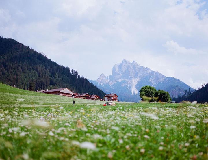 Dolomites, Italia [Mamiya RZ67 + 90mm]