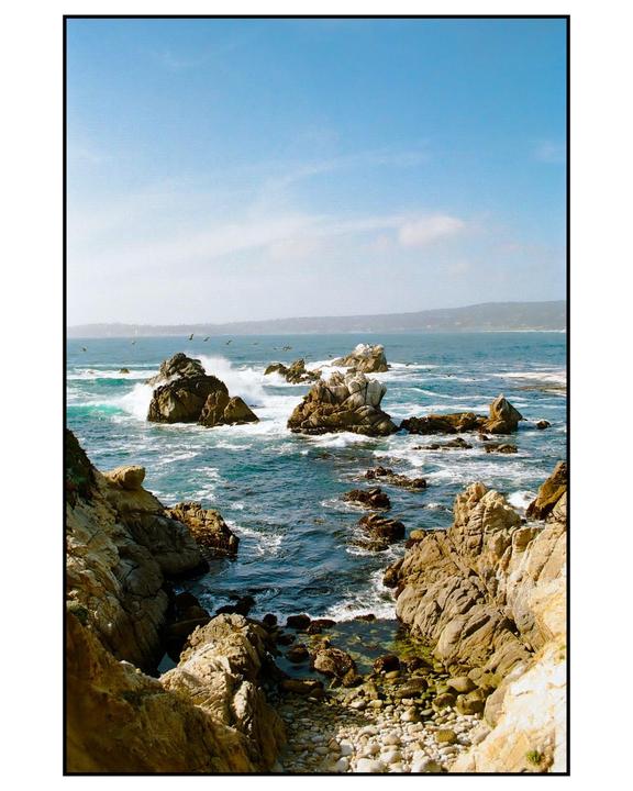 Michigan kid brings a bag of film cameras to California // Nikon F2 w/sigma 35-70 + Mamiya 645 1000s w/ 80mm // shot using Kodak Gold, Ektachrome, Portra 160, & Ektar