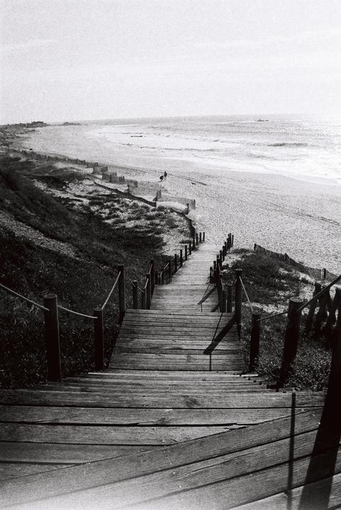 Beach walks [Nikon f60, Ilford HP5+]