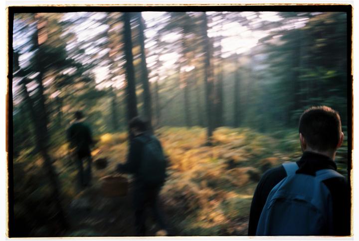 Shroom Trip (Olympus XA2, Portra 160)