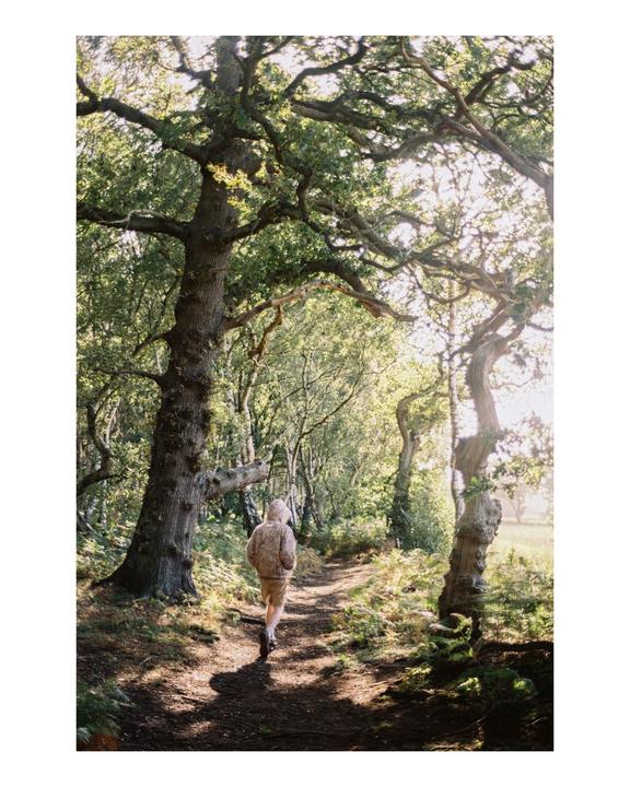 Early autumn with Kodak Gold / Nikon FE2