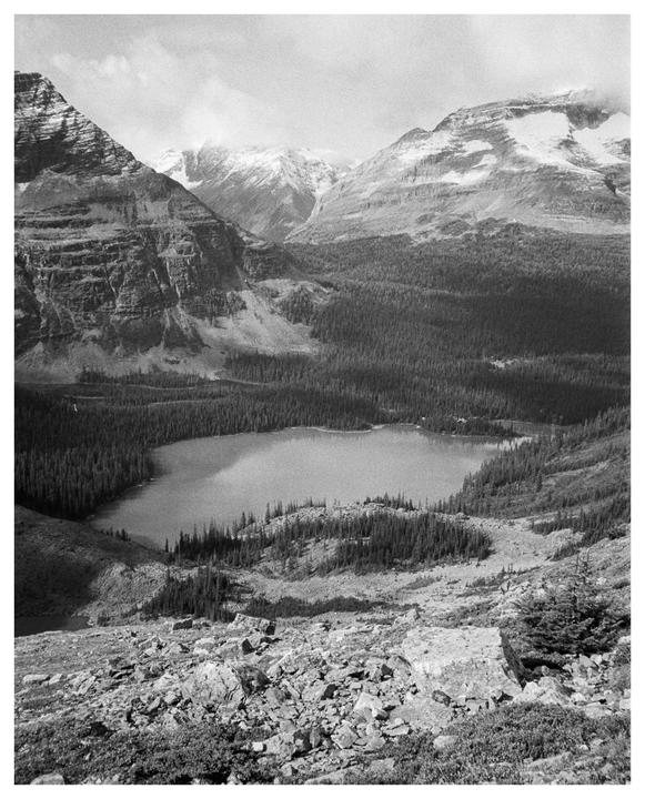 A high-angle landscape shows a lake surrounded by a forest and mountains with snow-capped peaks.