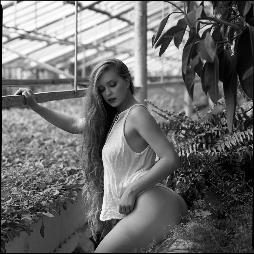 image 26969 by Artem_Stisovyak