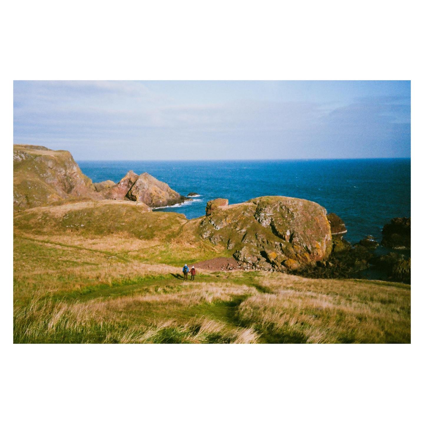 image 37071 by PorkBunFun