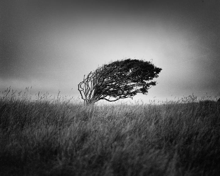 Fomapan 100 in 120 film. PLEASE HELP... Pentax 6x7, Pentax 105 mm. f/2.4, red filter.