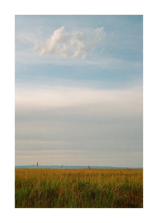 A tiny cloud slowly fades away during a sunset in the salt marshes. Which shot do you like most [Nikon F100, Portra 800]