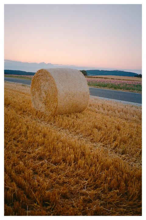 Roadside scenery during sunset [Olympus XA, Portra 400]