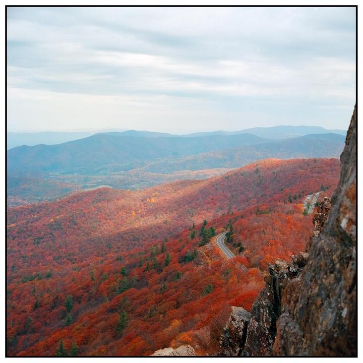 Fall is nearly upon us, Shenandoah | Bronica SQ-A
